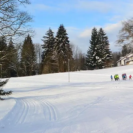 Maier * بايريش أيزنشتاين