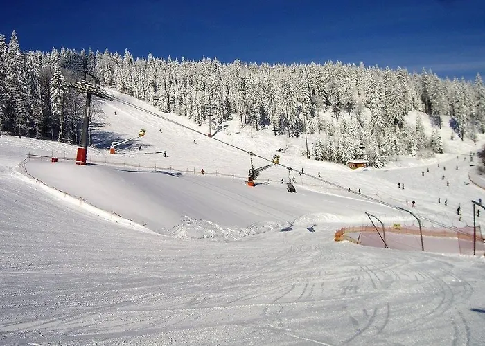 Maier بايريش أيزنشتاين