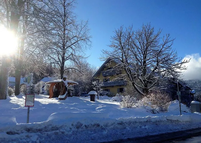 Maier * بايريش أيزنشتاين