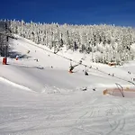 Maier Bayerisch Eisenstein