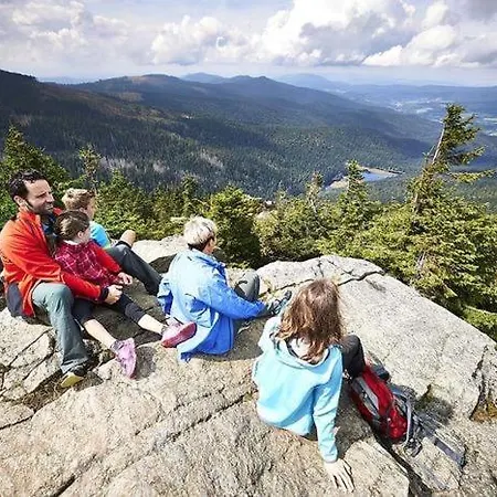 Maier Bayerisch Eisenstein